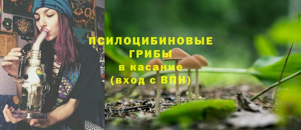хмурый Алексеевка