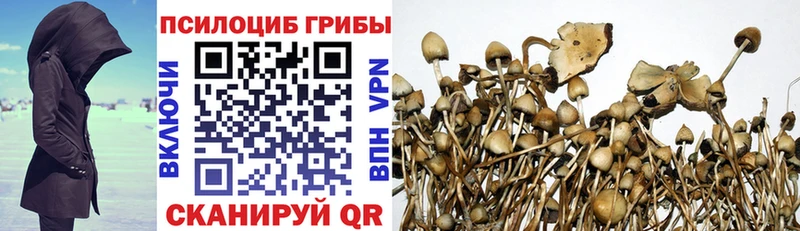 Галлюциногенные грибы Magic Shrooms  Нестеров 